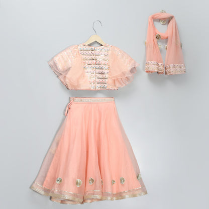 Peach organza and silk frilly blouse Lehnga set with duppata