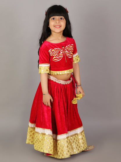 Pink velvet embroidered Blouse with Lehnga