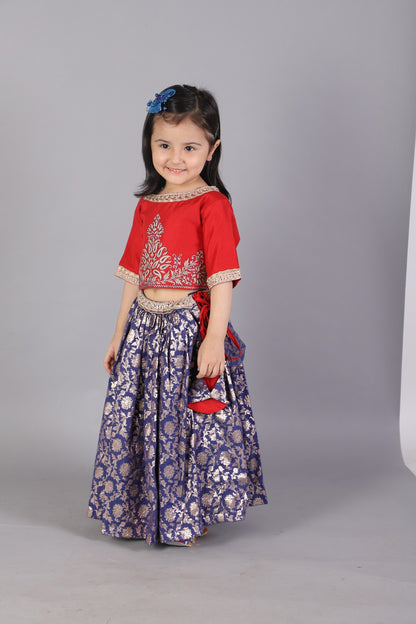 Red and blue zari embroidery Lehnga set